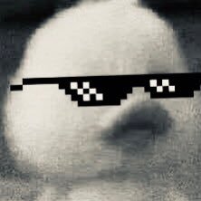 Discord: safaelrami | Representing @OlympusPr1me | Triangle Army @triangleweb3 Discord: https://t.co/F4hWcJ3trM Twitter: https://t.co/HfNmKov8rG