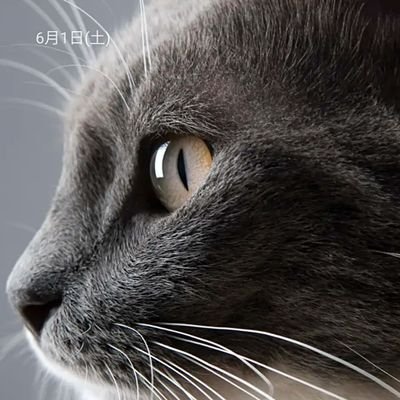 Cslc4SoapJ82539's profile picture. 