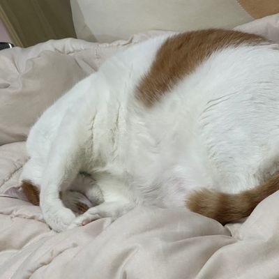 zzima22's profile picture. ㄴㄴ