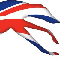 GBGB (@greyhoundboard) 's Twitter Profile