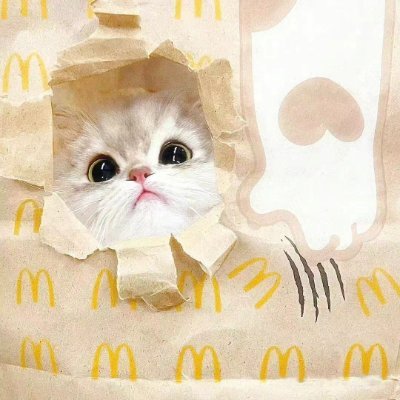 mengyunbrat_'s profile picture. BDSM圈子小萌新| 04年纯情小女孩 | 喜穿刺sp喜痕迹 | 接受耐受能力尚可 | 所有作品的出现均因把自己当成一副作品 忠于主人: @5m2sHkTX1JvPpKX