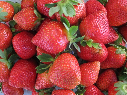 HarvestMarkets's profile picture. Local and Sustainably Grown!