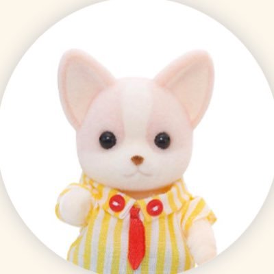 kyapi__o0's profile picture. @iON_peco_ 🧡