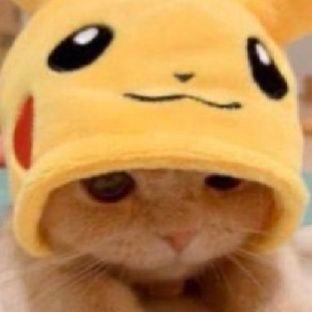 gk0MXvZzyc31324's profile picture. 