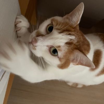 ラジオ好きのつぶやき メール採用されたら生きていけます 洋楽ロック好き スピッツ annkw cnann マヂラブANN0 フワちゃんann0 ijuin TOKYO STYLE ハライチのターン 佐久間宣行ANN0 fumou954 やほす AdoANN 三四郎ANN0