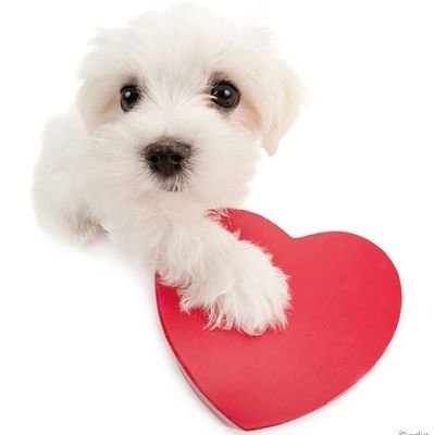 mwnmintn1's profile picture. 18 ⬆️