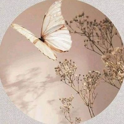 nshwairnns's profile picture. ...