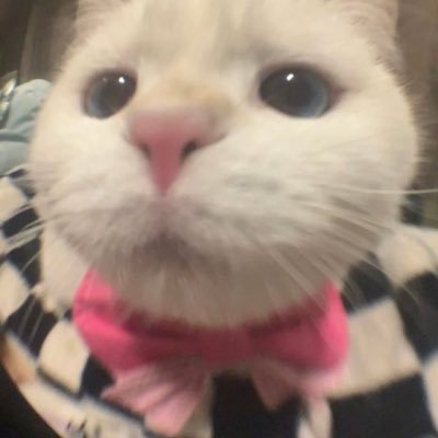 sskssba's profile picture. 