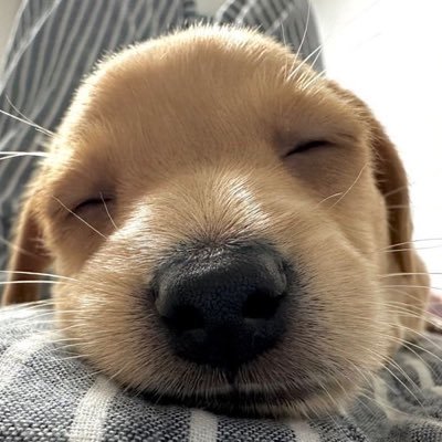 ge_fedev's profile picture. FE 👩🏻‍💻