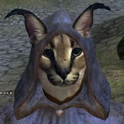 floppa_fan_'s profile picture. :DDD