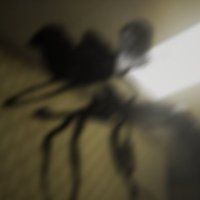 Backrooms: Wit's End (@bckrmswitsend) 's Twitter Profile