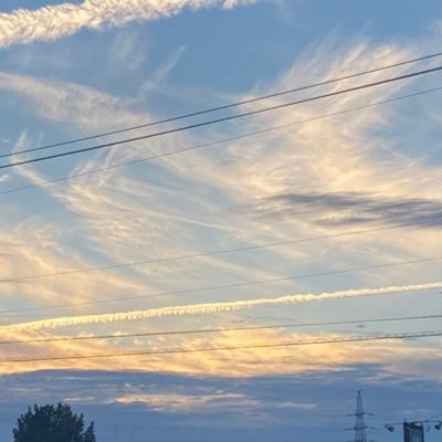 jkcRjcJMZNMRQw4's profile picture. 