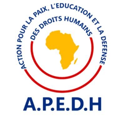 APEDH-ONGDH/Asbl Profile