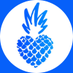 Pineapple Support (@pineappleysw) Twitter profile photo Pineapple Support (@pineappleysw) Twitter profile photo