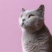 • KATT (@cinaacid) Twitter profile photo • KATT (@cinaacid) Twitter profile photo