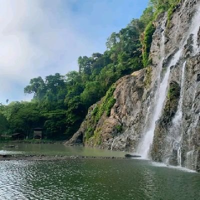 Roger1621656867's profile picture. 