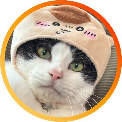 noanoa7233's profile picture. チェリまほ🍒＋DEEPSUQUAD＋WHH🐺❤️‍🔥 すーくん＋THE RAMPAGE👊⚡️ウルフの親世代🤩🫶🏼🤩 日常多め…何事も自分のペースで♡北陸🌊🦖🦕⛰️住み 無言フォローOKです👍リムーブもご自由に