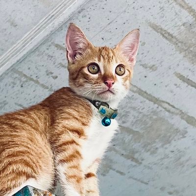 Denseさんのプロフィール画像