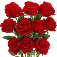 الجوهره (@qlpae45mcn4rlw3) 's Twitter Profile