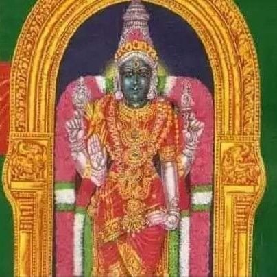 konguboomi49461's profile picture. 