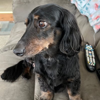 I met so many amazing friends here but sadly it’s time to say goodbye. mom is absolutely heartbroken 💔