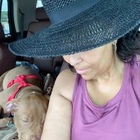 Crystal Phlegm Freeman (@phlegmfreeman) 's Twitter Profile