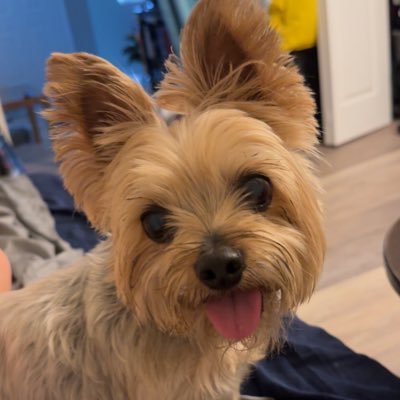 tori_bulford's profile picture. 