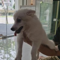 Pyrix (@pyrixvlr) 's Twitter Profile Photo Pyrix (@pyrixvlr) 's Twitter Profile Photo