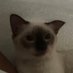 mew (@carmelaquiknows) Twitter profile photo mew (@carmelaquiknows) Twitter profile photo