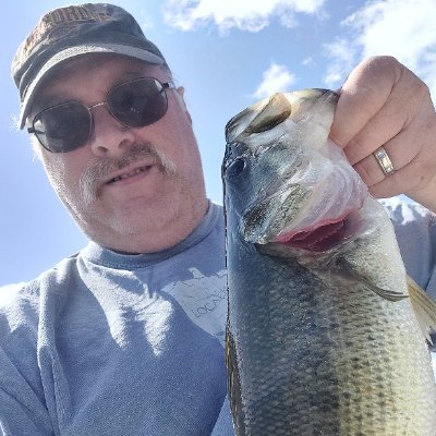 darin43970036's profile picture. No WhatsApp or Telegram!