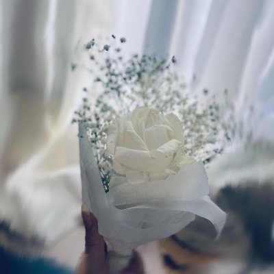 ↻さんのプロフィール画像