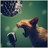 MozMedia's profile image