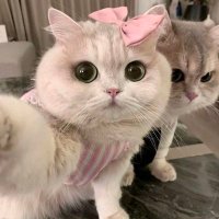 rtrtjqplmm (@nopmuj6200) 's Twitter Profile