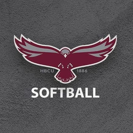 UMESHawksSB's profile picture. Official Twitter account of @UMESHawkSports Softball. #HawkPride | #SoarAboveAndBeyond