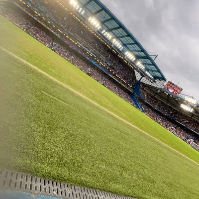 GraysonPhe88998's profile picture. 