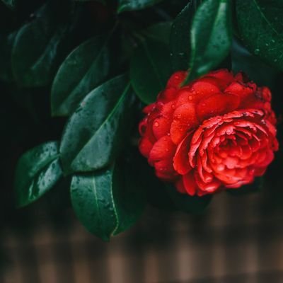 ntkn0310's profile picture. 