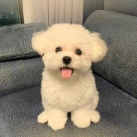 11 (@11_9yuhani) 's Twitter Profile Photo 11 (@11_9yuhani) 's Twitter Profile Photo