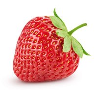 Le fraisier (@smithfraisier) 's Twitter Profile
