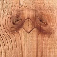 nebuloso (@vagabundoeficaz) 's Twitter Profile