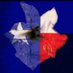 Lee (@texasmoonflower) Twitter profile photo Lee (@texasmoonflower) Twitter profile photo