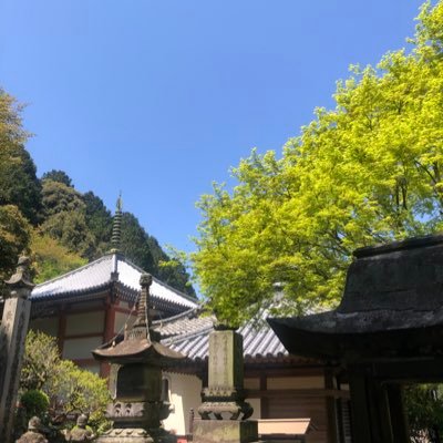 聖武天皇勅願、大和国長谷寺の本尊に先立って造立された『初瀬試十一面観音』を本尊とし、天照皇大神、春日大明神をはじめ、多くの神々を奉る神仏習合寺院です。格別御由緒の故に中世には門跡格となり、また近世には将軍家の祈祷院、学問寺院として隆盛しました。幾多の災厄を神川(寒川)の人々と共に乗り越え、信仰と霊験を今に伝えています