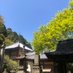 新四国霊場 新長谷寺 (@hatsuse_kannon) Twitter profile photo 新四国霊場 新長谷寺 (@hatsuse_kannon) Twitter profile photo