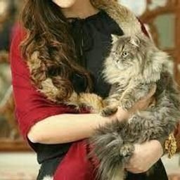 Toosare13S3R's profile picture. 