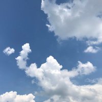 WoodHolz (@woodholzcoding) 's Twitter Profile