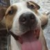 fabricio felipe (@pagodynho) Twitter profile photo fabricio felipe (@pagodynho) Twitter profile photo