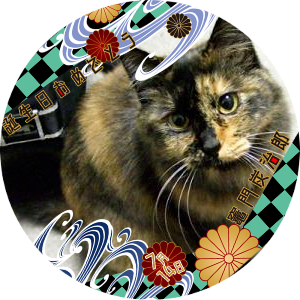 mieさんのプロフィール画像