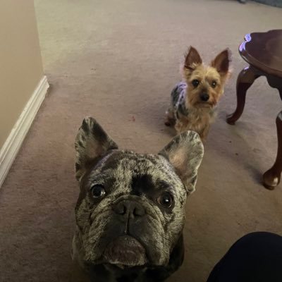 j1_teresa's profile picture. Happily married mothers of three beautiful girls