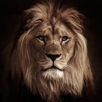Karani Mutonga (@karanimutonga) 's Twitter Profile Photo