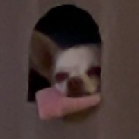 Ian (@iann0_3) 's Twitter Profile Photo