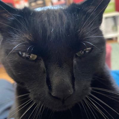 architectural designer, gardner, recluse, lover of Los Angeles & random retweeter of things I find interesting or hope to read some day. likes mostly = chuckle